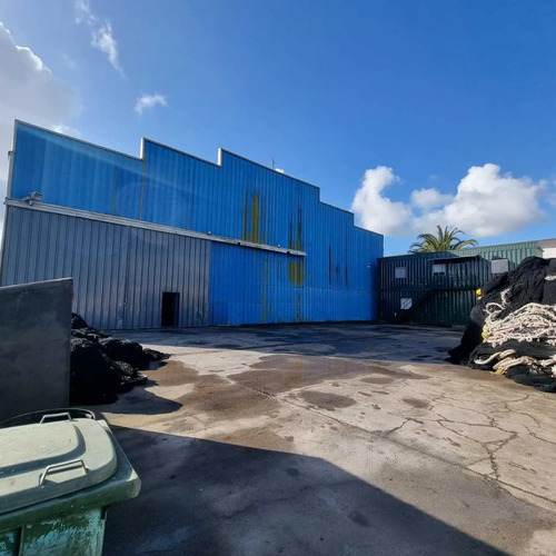 Gran Bodega En Jaime Repullo Con 1300 M2 (138155)
