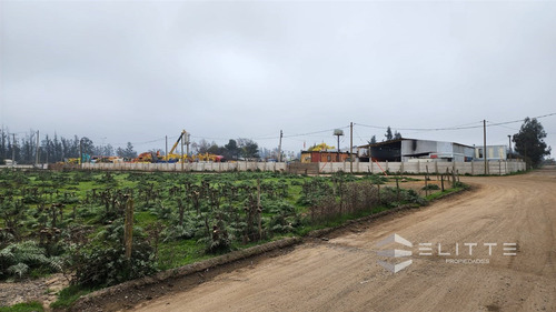 Industrial En Venta En Casablanca