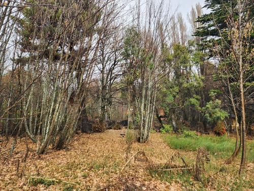 Lote En Venta Bariloche