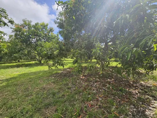 Oportunidad De Inversión Se Vende Finca En El Espinal,tolima