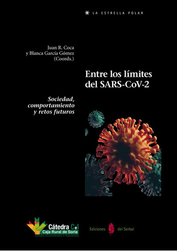 Libro Entre Los Limites Del Sars Cov 2 - Aa.vv