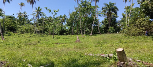 Vendo 9 Tareas De Terreno A 5 Minutos De La Playa En Los Robalos, Samaná, Rep.dom