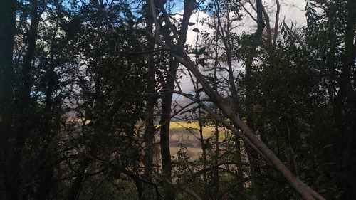 Imagen 2 de 13 de Susana Aravena Propiedades Terreno - San Martin De Los Andes