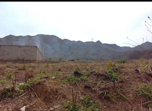 Imagen 3 de 11 de Terreno Unifamiliar En Venta Jardin Mañongo