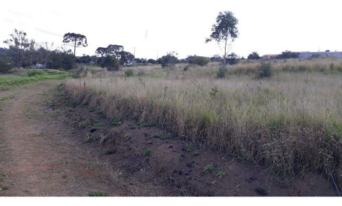 Imagem 3 de 10 de Terreno Na Chapada - Te0269