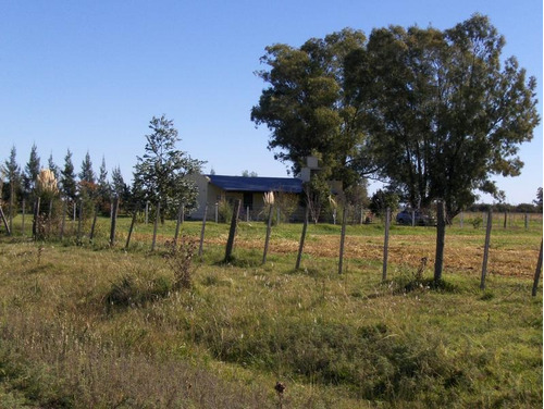 Imagen 14 de 15 de Campo 9ha En Las Flores
