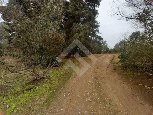 Sitio En Venta En Los Pinos Reñaca