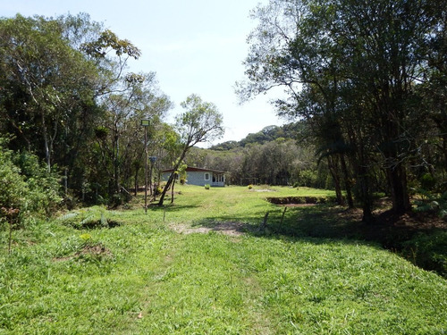 Imagem 10 de 15 de Chácara À Venda Com Lago Riacho 10.000 M² Ótimo Acesso