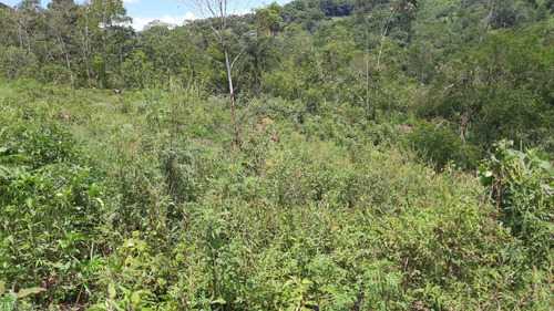 (k.a) Corra Antes Que Acabe - 1.000m2 Confira Lotes Fechados