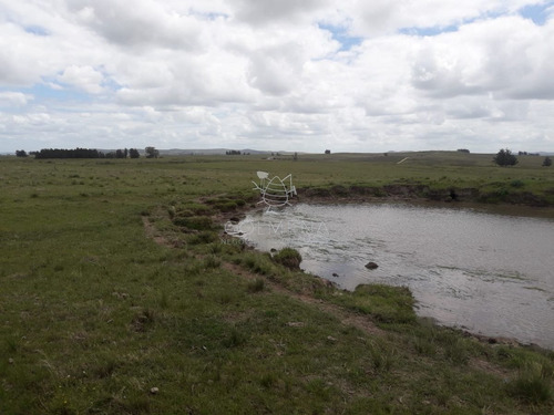 Imagen 8 de 20 de Campo En Paraje Jose Ignacio - Consulte!!!!!! - Jose Ignacio