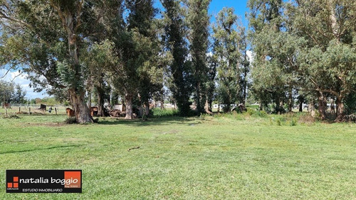 Imagen 2 de 9 de Lote En Miramar Ubicado En B° Las Flores V4450