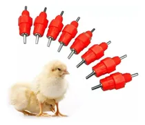 Comprar 50 Bebedouros Automático Aves Galinha Frango Codorna Esferas