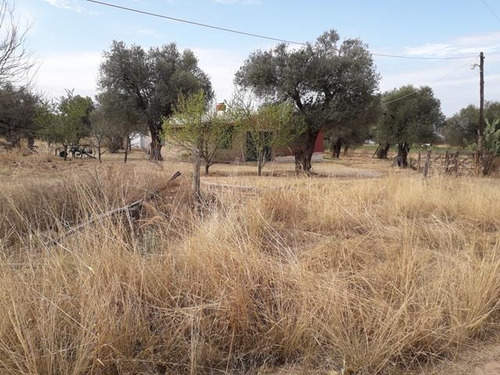 Imagen 13 de 16 de Campo En San Pedro Traslasierras. 4 Has Casa Y Galpon