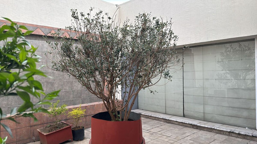 Edificio Con Uso De Suelo Para Oficinas