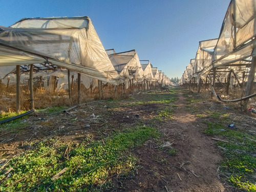 Se Vende Preciosa Parcela Agrícola
