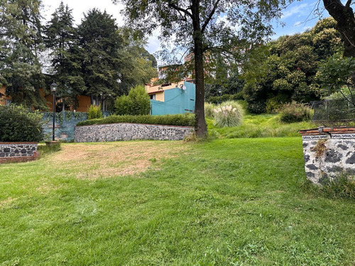 Terreno En Renta En La Magdalena
