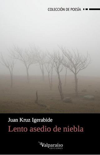 Lento asedio de niebla, de Kruz Igerabide, Juan. Editorial VALPARAÍSO EDICIONES, tapa blanda en español