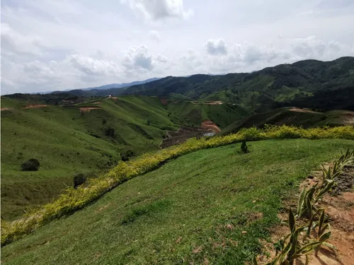 Lote Cisneros, Antioquia Entrando Por Yolombo - Se Vende/permuta