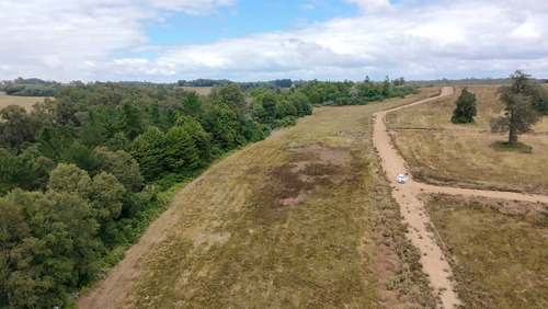 Terreno Frutillar Rol Propio Luz Agua Caminos (154492)