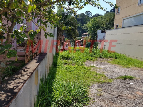 Imagem 4 de 8 de Terreno Em Tucuruvi - São Paulo, Sp - 361646
