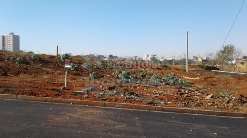 Imagem 4 de 8 de Terrenos - Ref: V11431