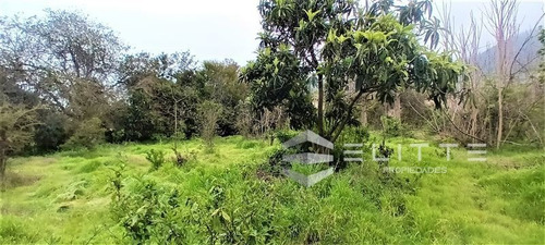 Imagen 16 de 28 de Sitio En Venta En Olmué