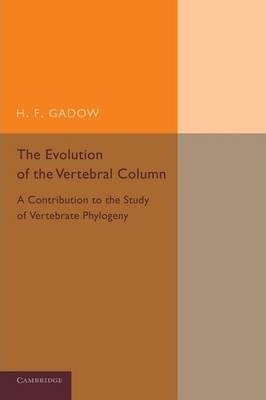 Libro The Evolution Of The Vertebral Column - H.f. Gadow