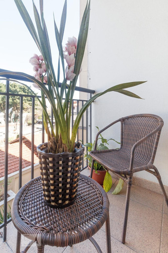 Imagem 14 de 15 de Apartamento Para Aluguel - Vila Mascote, 2 Quartos, 54 M² - 893375450