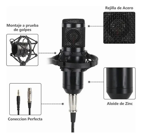 Set De Micrófonos Con Condensador Grabación Estudio Youtuber