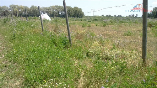 Imagen 14 de 30 de Agrícola En Venta En Linares