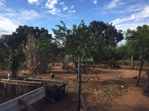 Imagem 7 de 18 de Chácara Com 4 Dormitórios À Venda, 1000 M² Por R$ 650.000 - Chácara Recreio Nossa Senhora Do Líbano (zona Rural) - São José Do Rio Preto/sp - Ch0078