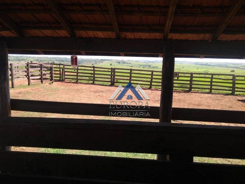 Imagem 6 de 12 de Fazenda Com 3 Dormitórios À Venda, 3993000 M² Por R$ 18.150.000,00 - Zona Rural - Presidente Venceslau/sp - Fa0004