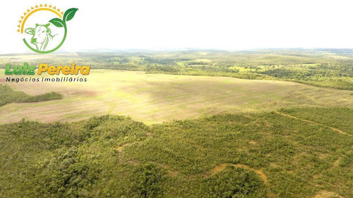 Imagem 6 de 15 de Fazenda À Venda Em Aparecida Do Rio Negro - To -1331 Hec (agricultura) - 1925