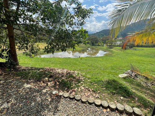 Imagen 26 de 30 de Espectacular Finca Clima Caliente En Venta Porce