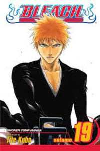 Libro Bleach Vol 19