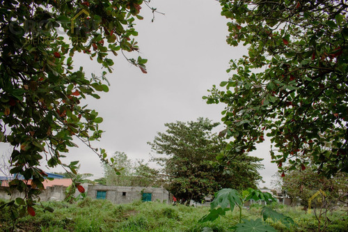 Terreno De Inversión En La Col. Libertad De Expresión Zona Las Bajadas