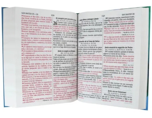 Imagen 4 de 5 de Biblia Reina Valera 1960 Letra Gigante Pjr Ilustrada
