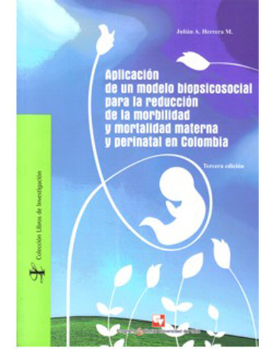 Aplicación De Un Modelo Biopsicosocial Para La Reducción, De Julián A. Herrera M.. Serie 9586707169, Vol. 1. Editorial U. Del Valle, Tapa Blanda, Edición 2009 En Español, 2009