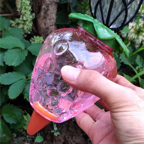 Dispositivo De Auto-rega De Plantas Estacas De 500ml Morango