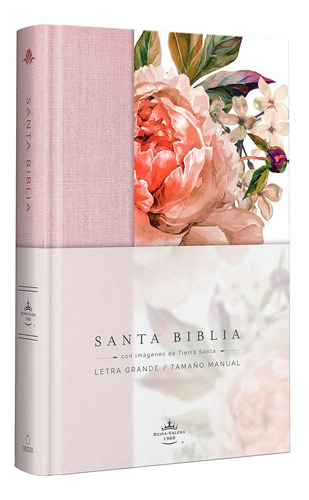 Biblia Rvr1960 Letra Grande Con Imágenes De Tierra Santa T/d