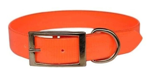 Collar Para Perro Warner Dayglo + Etiqueta De Identificacio