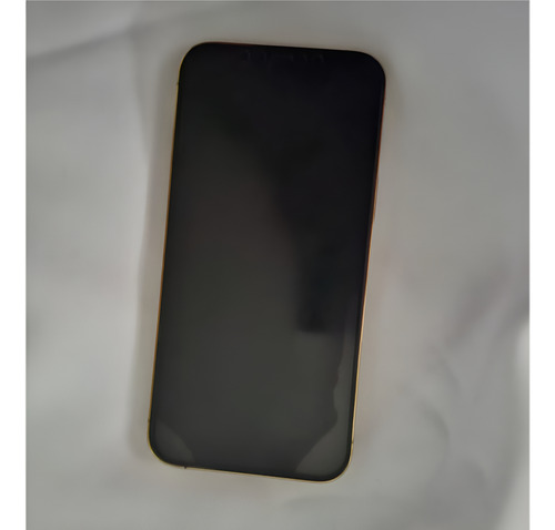 iPhone 12 Pro 128 Gb Oro At&t (Usado)