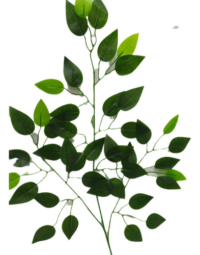Folha De  Ficus Artificial  Kit 12 Galhos 60x50cm Toque Real