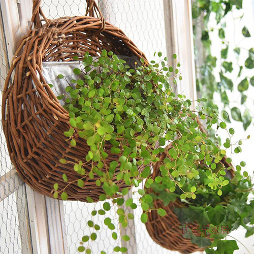 (m-p) Cesta Tejida De Mimbre Natural Para Colgar En La Pared