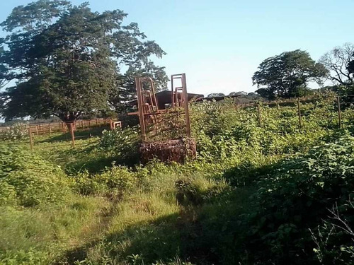 Imagen 5 de 26 de Finca En Venta ,calabozo Guarda Tinajas