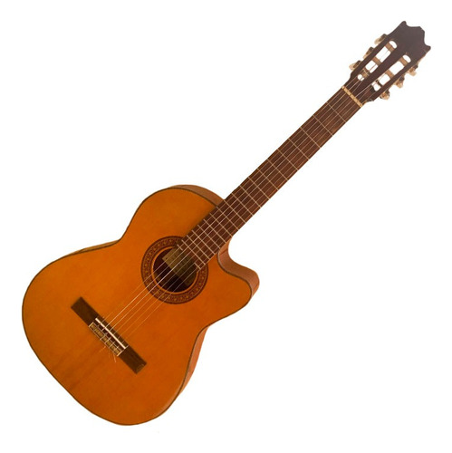 Guitarra Electroclásica Salvador Ibanez