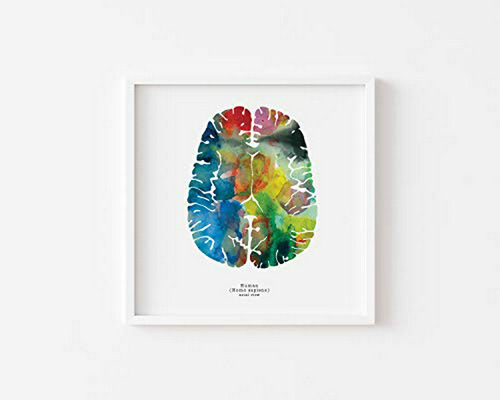 Visit The J. Sayuri Store Axial Cerebro Humano