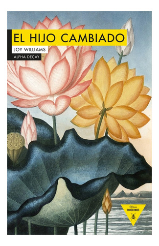 Hijo Cambiado,el - Joy Williams