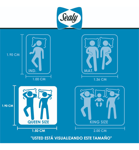 Colchón Queen Size Sealy Foam Confort + 2 Almohadas Sealy
