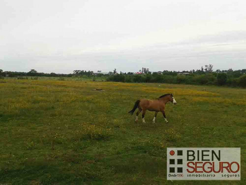 Chacra De 2  Hás Con Casa De 3 Dormitorios En Venta En Barros Blancos